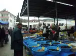 O yine Tezgahının Başındaydı