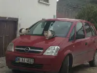 Objektife Takılan
