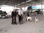 Taraklı da Köpeklere Kuduz Aşısı Yapıldı