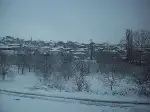 Baharı Beklerken Kış Geldi
