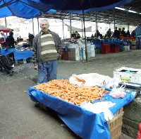 Susuzluktan dolayı Havuç Yetiştiremez Oldular