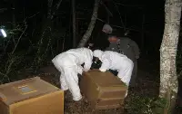 Taraklı da Karıncaların Yaşam Alanları Genişliyor