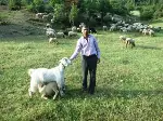 Görenler Şaşırıyor.