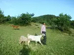 Görenler Şaşırıyor.