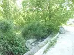 Dere Temiz Aksın