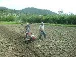 Bu Fasulye Başka Fasulye