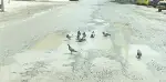 Objektife Takılan
