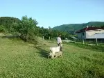Görenler Şaşırıyor.