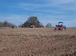 Ayçiçek ve Mısır Ekimi Başladı
