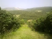 Satılık Tarla