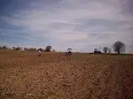 Ayçiçek ve Mısır Ekimi Başladı