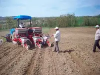 Ayçiçek ve Mısır Ekimi Başladı