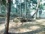 Geleneksel Hıdırlık Doğa Kültür ve Turizm Şenliği