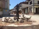 Objektife Takılan
