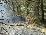 3 Hektarlık Alan Zarar Gördü