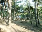 Geleneksel Hıdırlık Doğa Kültür ve Turizm Şenliği