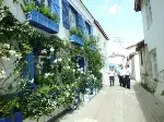 Dünya Sakinleri Seferihisar da Buluştu