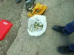 Yasak Olduğu Halde Avlanıyorlar