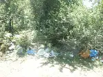 Karagöl Yaylasında Çöp Rezilliği