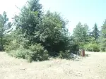 Karagöl Yaylasında Çöp Rezilliği