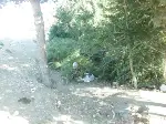 Karagöl Yaylasında Çöp Rezilliği