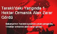 Çıkan Yangında Yaklaşık 1 Hektarlık Alan Zarar Gördü