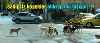 Taraklı Sokakları Onların