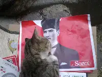 TARAKLI AJANS Objektifine Takılan
