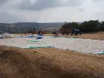 Akçapınar Köyünde Ayçiçeği Kalitesi Yüzleri Güldürüyor