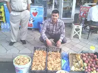 Kanlıca Mantarı 15 TL