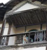 TARAKLI AJANS Objektifine Takılan
