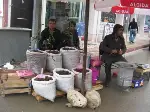 Kestane Tezgahları Doldurdu