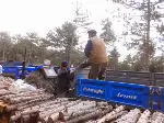 Kışlık Yakacak Odun Telaşı