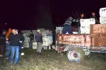 Tavuk Yüklü Kamyon Devrildi