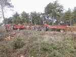 Kışlık Yakacak Odun Telaşı