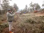 Kışlık Yakacak Odun Telaşı