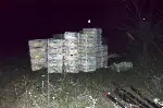 Tavuk Yüklü Kamyon Devrildi