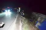 Tavuk Yüklü Kamyon Devrildi