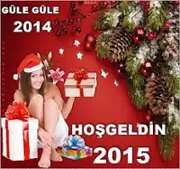 GÜLE GÜLE 2014...HOŞ GELDİN 2015