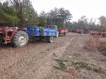Kışlık Yakacak Odun Telaşı