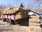 Saman Fiyatları Düştü