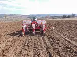 Ayçekirdeği Ekimi Başladı
