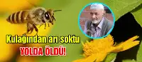 Kulağından Arı Isıran Yaşlı Adam Öldü