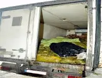Polis TIR Dolusu Ölü Tavuk Ele Geçirdi