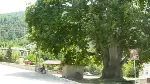 Yusufbey Mahallesinde İftar Var