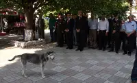 Çelenk Sunma Töreninde Objektife Takılan....