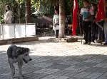 Çelenk Sunma Töreninde Objektife Takılan....