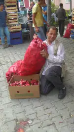 Salçalık Domates Sezonu Hızlı