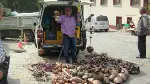 Kurban Aksesuarları Satıcılarının Yüzü Gülüyor