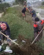 Taraklı Yolu Ağaçlandırılıyor…